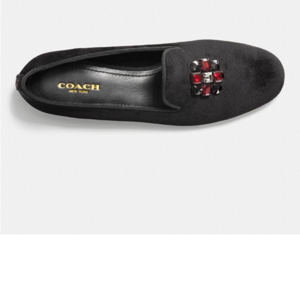 Brand nwot coach loafers